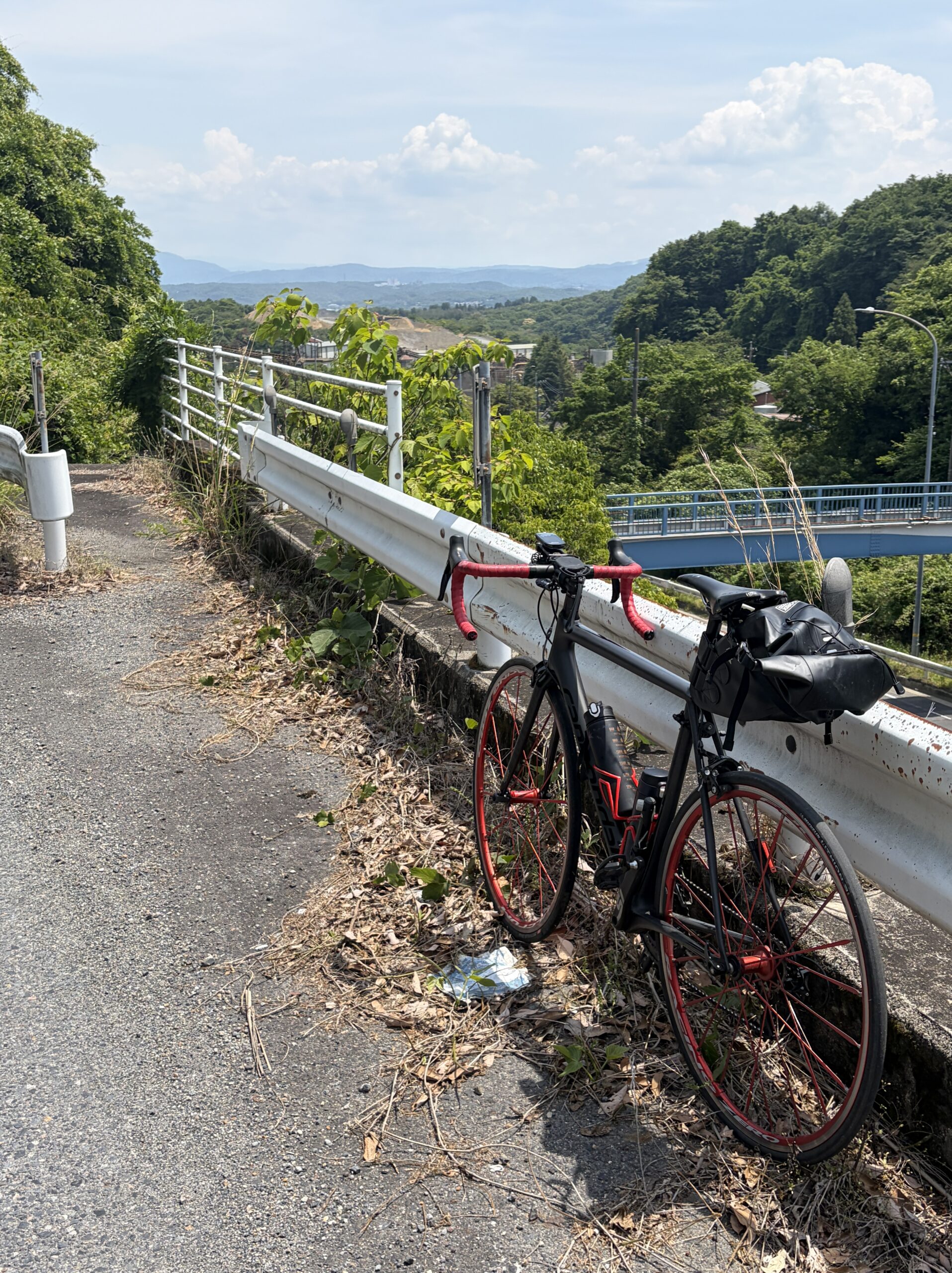 走行中の景色